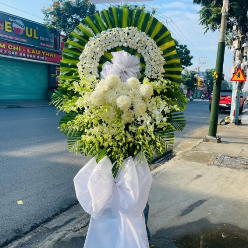 Mẫu 44