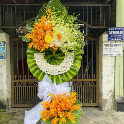 Mẫu 47