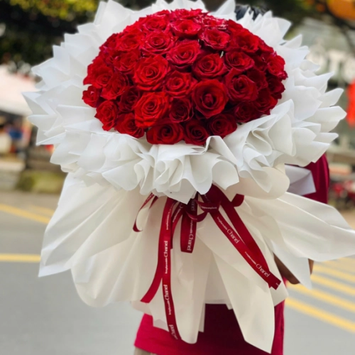 Mẫu 97