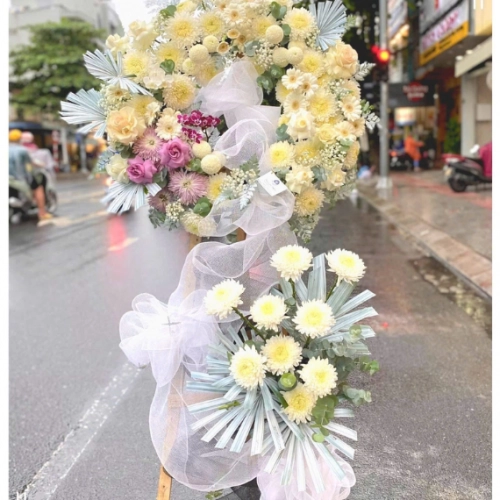 Mẫu 53