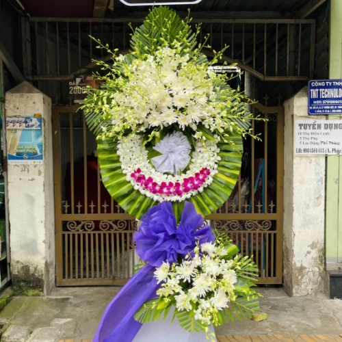 Mẫu 54