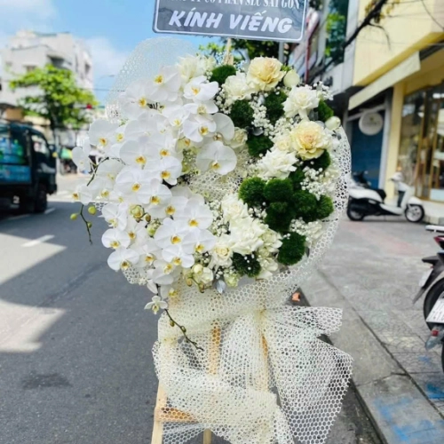 Mẫu 56