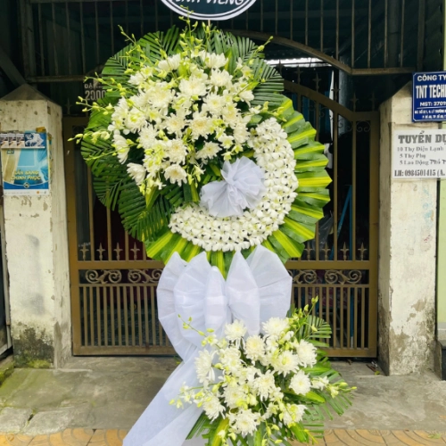 Mẫu 59