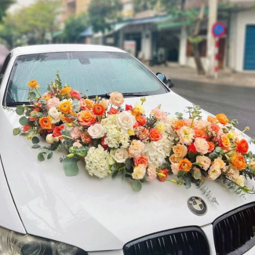 Mẫu 133