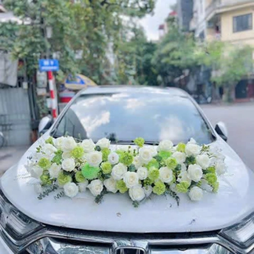 Mẫu 134