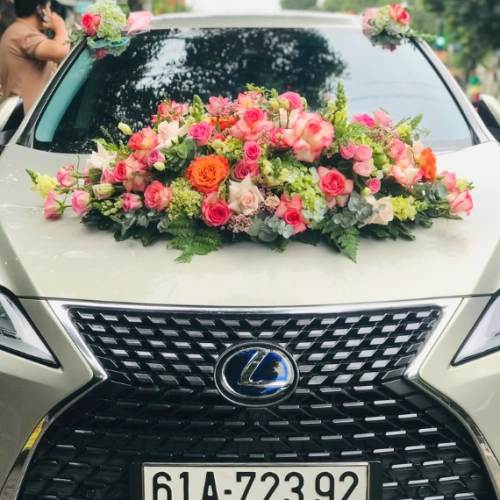 Mẫu 135