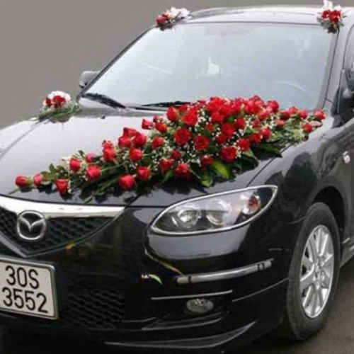 Mẫu 138