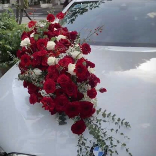 Mẫu 139