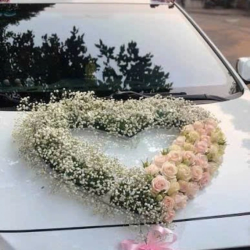 Mẫu 140