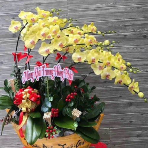 Mẫu 141