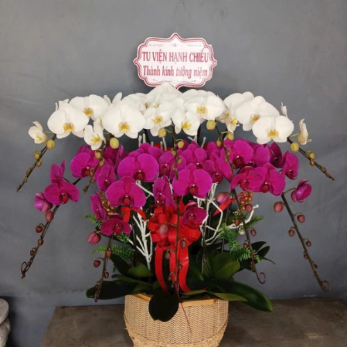Mẫu 143