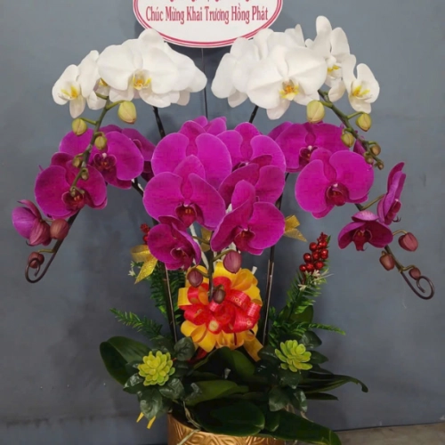 Mẫu 145
