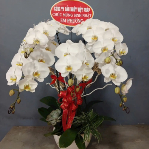 Mẫu 146