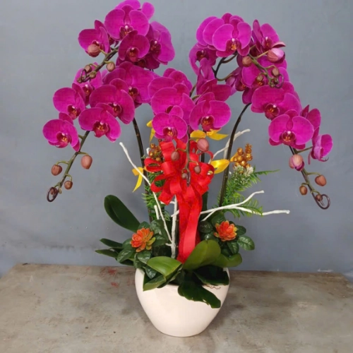 Mẫu 147