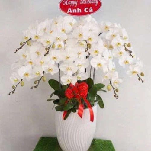 Mẫu 148