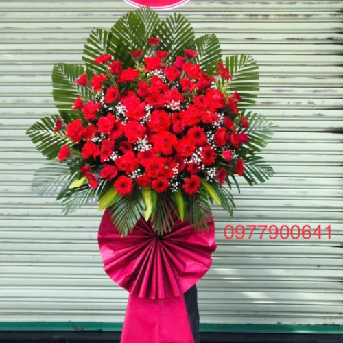 Mẫu 11a