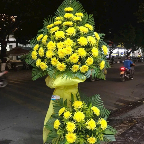 Mẫu 80