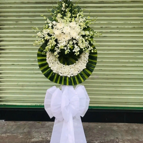 mẫu 7B